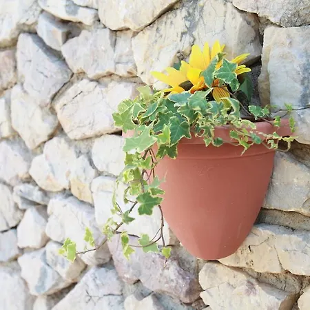 Sersic Apartamento *