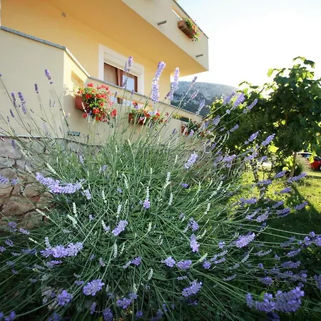 Sersic Baska (Krk)