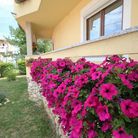 Sersic * Baska (Krk)
